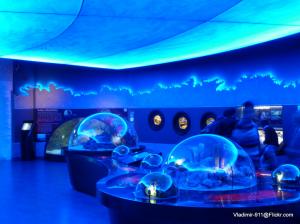 Aquarium of istanbul