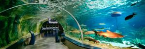 Aquarium of istanbul