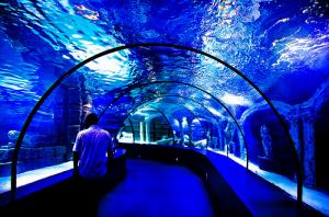 Aquarium of Antalya