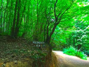 The Polish village of Istanbul