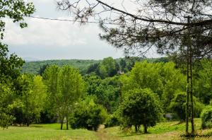 The Polish village of Istanbul