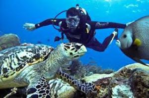 Scuba Diving Tour