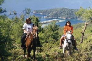 Horseback Riding Experience