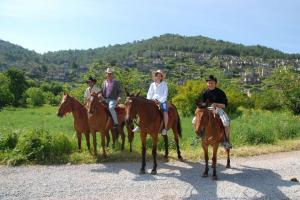 Horseback Riding Experience