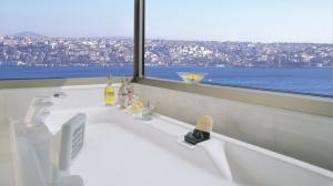 THE RITZ CARLTON ISTANBUL