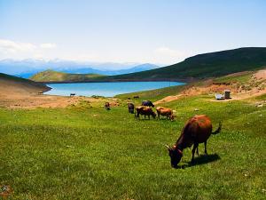 Sultan Murad Heights Ouznjul Lake