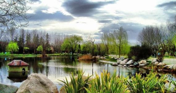  حديقة "بوتانيك " Botanik Parkı  