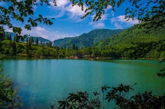 Artvin