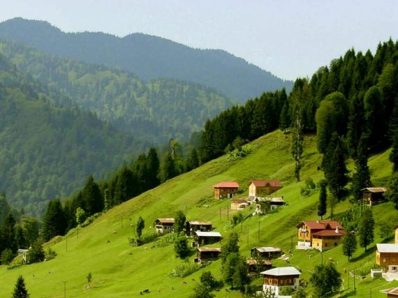 Rize